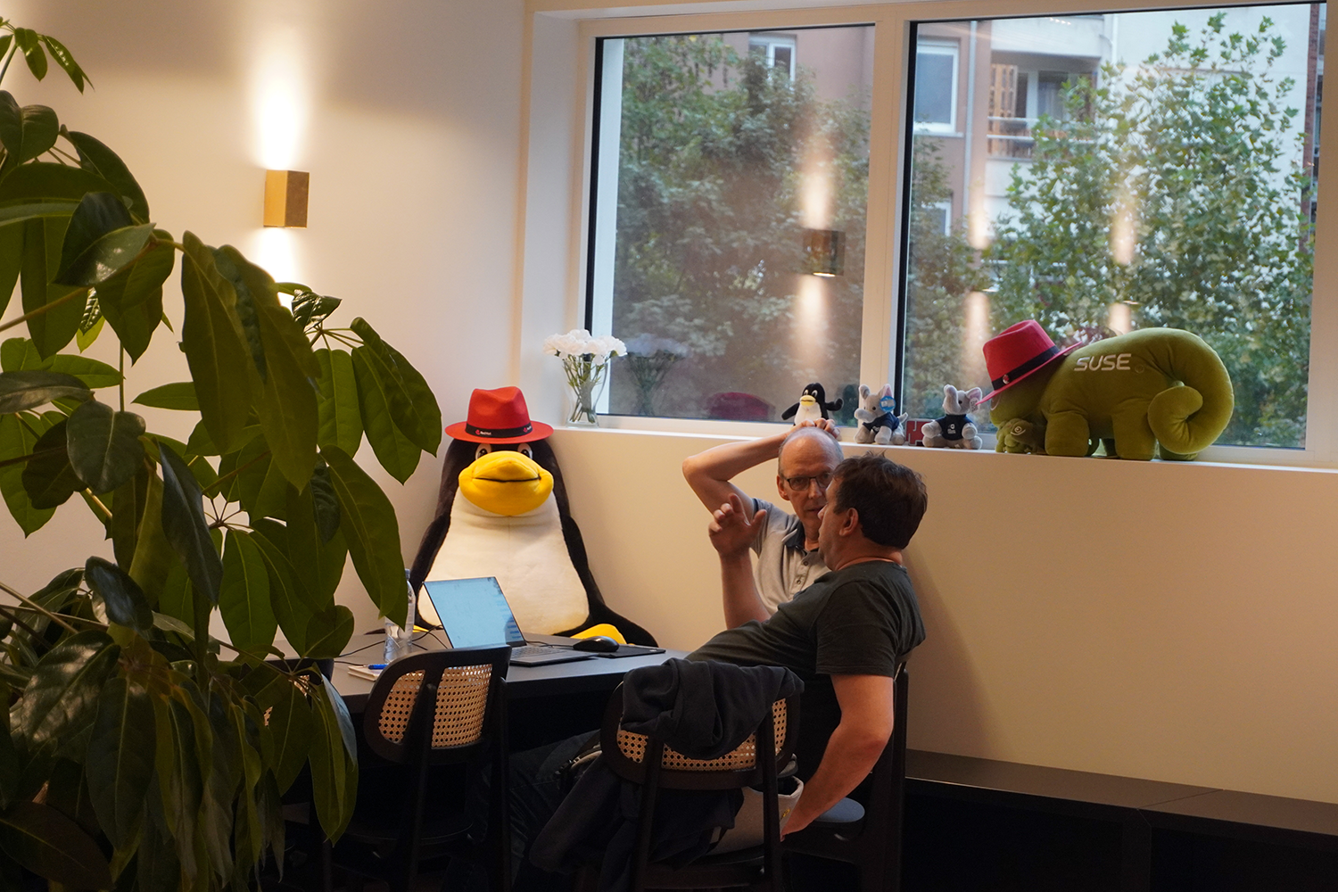 A day at the office at Kangaroot