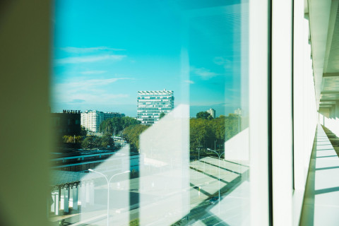 Greenhouse Collection at the Singel