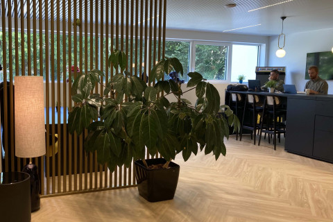 #teamkanga is moving