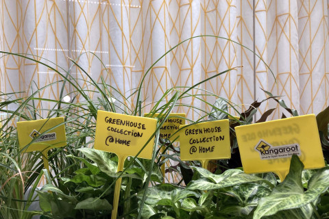 #teamkanga is moving