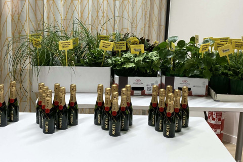 #teamkanga is moving