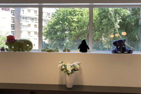 #teamkanga is moving