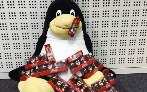 work hard play hard 3